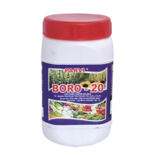 PARVI - Boro 20